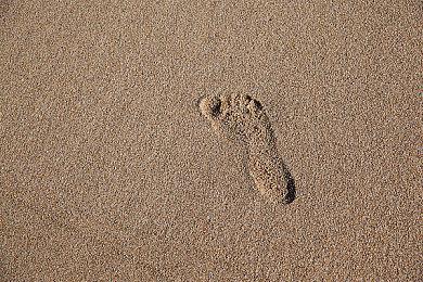 《Llamasoft: The Jeff Minter Story》Steam页面上线 不支持中文